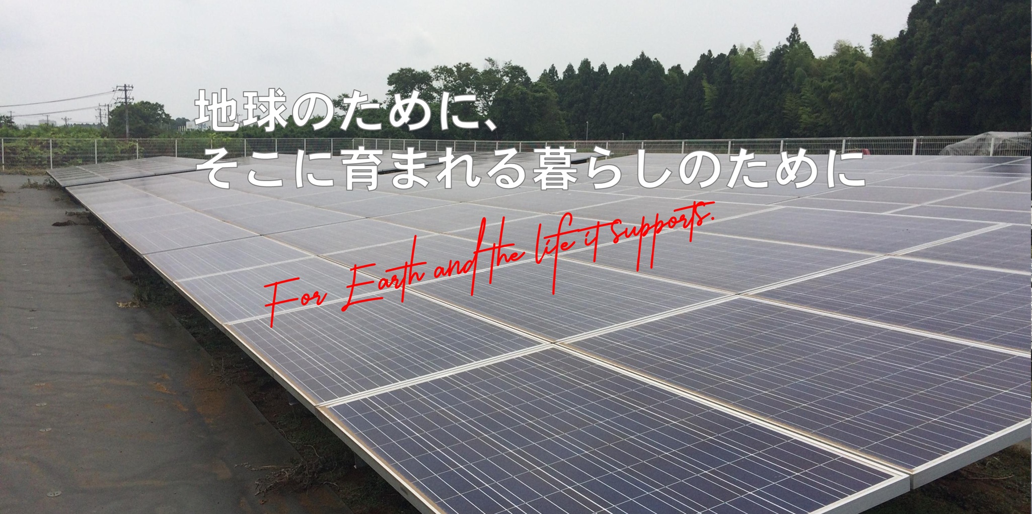 太陽光メガソーラー